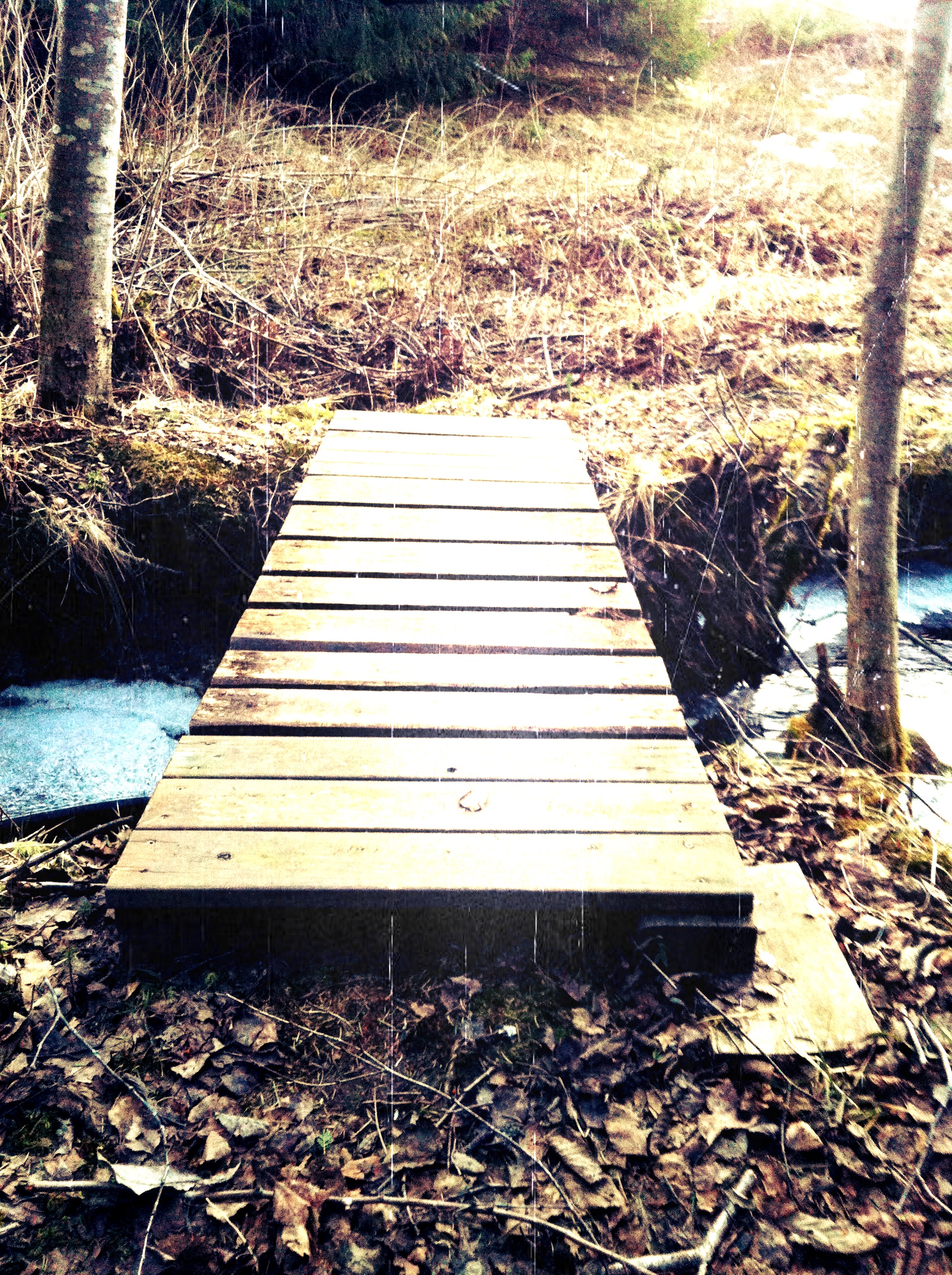 Download How To Build Wood Bridge Plans DIY one way wood ...